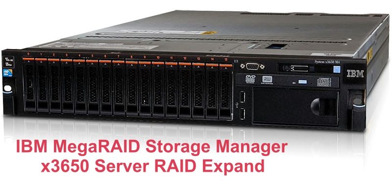 ibm megaraid storage manager